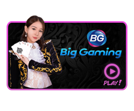 Casino Big Gaming Live Casino